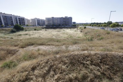 Vecinos de Copa d’Or piden limpiar los solares para evitar incendios