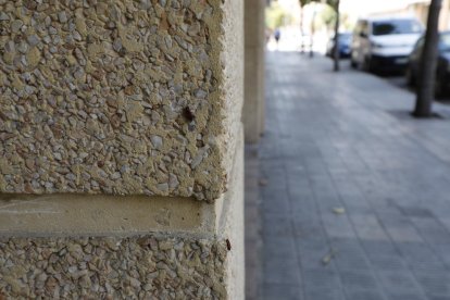 Insectes a la paret d'un edifici de la Bordeta.