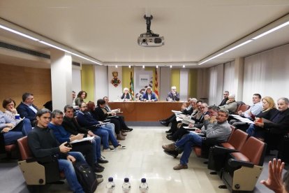 El pleno del consell del Segrià celebrado ayer.