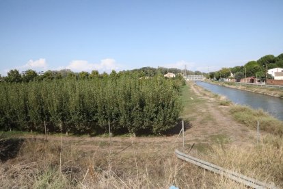 Finca adquirida pels musulmans per a la mesquita, al costat del canal de Seròs i el pont de Pardinyes.