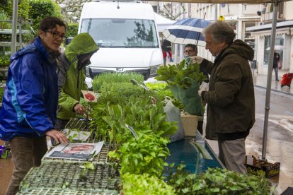 Gente comprando brotes y materiales para sus huertos ayer en el mercado de Tàrrega.