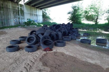 Los neumáticos que aparecieron junto a la carretera C-13 en la partida de la Femosa.  