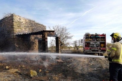 Al foc de les Borges es va cremar un camp d’ametllers.