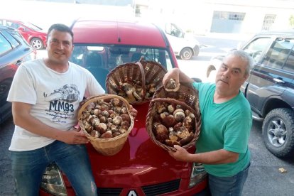 Joan Mora y Manel Muñoz, ‘boletaires’ de Cervera que ya han salido a recolectar setas.