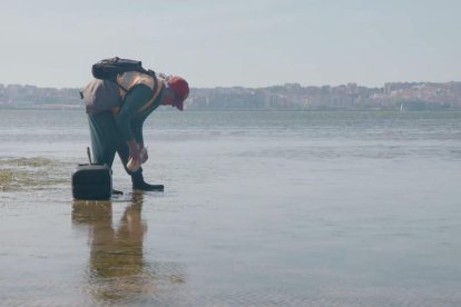 En la bahía de Santander, una ‘pedreñera’ captura marisco.