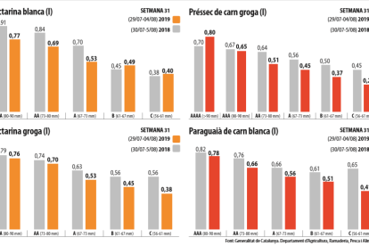 Els preus de la fruita de pinyol arriben a caure fins un 38 per cent en els calibres més baixos