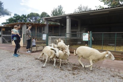 La Manreana Parc va acollir ahir les primeres famílies que participen en aquesta iniciativa de lleure.