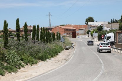 Planten prop de 140 arbres a la banqueta del canal a Arbeca