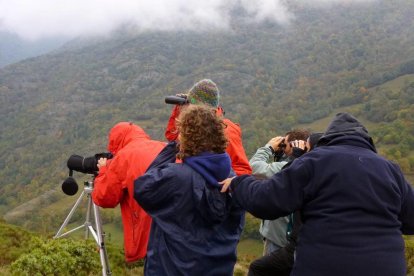 Turistas observando a los primeros ciervos. 