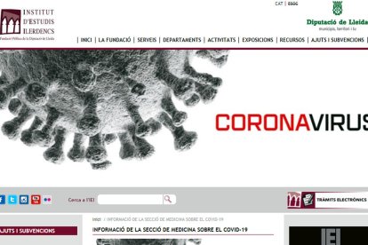 L'IEI de Lleida posa en marxa un punt d'informació virtual sobre salut amb el coronavirus com a eix central