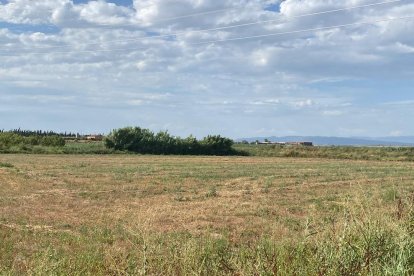 Imagen del solar de Torre-serona donde se construirá la depuradora. 