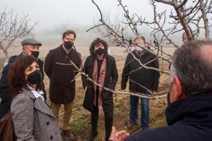 Visita de la consellera a la finca Mas Colom del Grup Borges. 