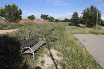 Vecinos critican el mal estado de los parques para perros