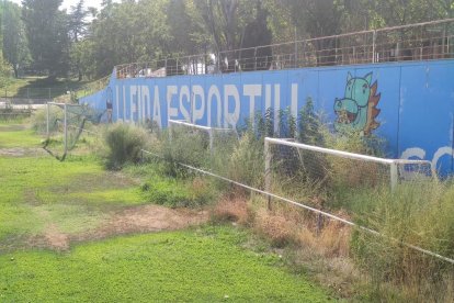 Estat d’abandó i deixadesa que mostrava ahir l’Annex, al costat del Camp d’Esports.