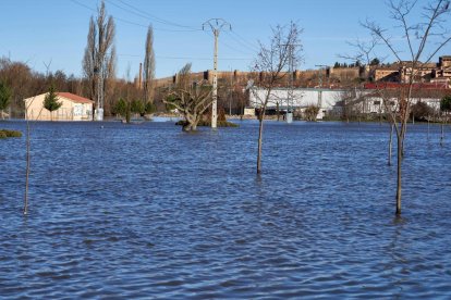 Avinguda del riu Adaja, afluent del Duero, al seu pas per Àvila.