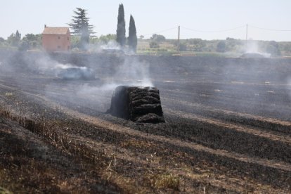 Un foc va afectar una vintena de bales de palla a Bell-lloc.