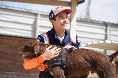 Marc Màrquez, junto a su tocayo peludo en la protectora Amics dels Animals de la Noguera. 