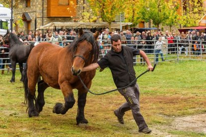 Muestra de caballos durante la feria.