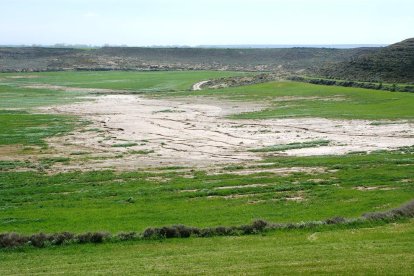 La salinització de les terres de cultiu es veu en algunes zones.