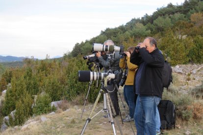 Turistes observant cérvols, en aquest cas, a la reserva de Boumort.