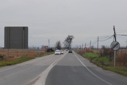 La carretera de Mollerussa a Linyola. 