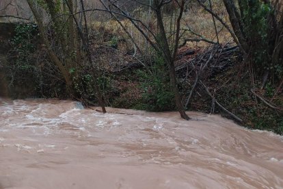 La turbidez del agua era notable debido a las lluvias.