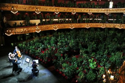 Les plantes 'colonitzen' el Liceu en un singular concert de reobertura