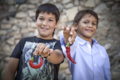 El Museu de la Vida Rural i l'educació cultural per la sostenibilitat