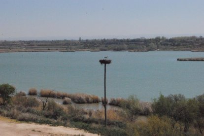 Vista del Estany d’Ivars d’Urgell i Vila-sana desde Cal Sinén. 