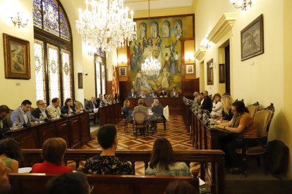 Una vista del ple de la Diputació de Lleida.