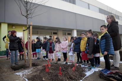 Moment que expliquen als més petits com plantar els arbres.