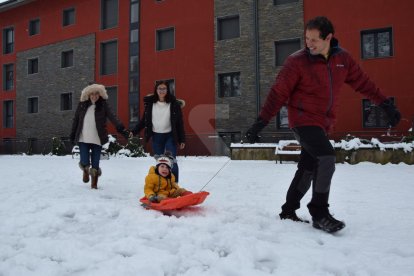 Imatges dels desperfectes del temporal Gloria a les comarques de Lleida