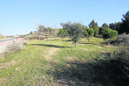 Lloc en què es preveu construir la zona de pícnic i barbacoes, darrere del turó de Gardeny.