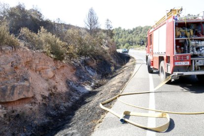 Els Agents Rurals apunten que l'incendi de Maials es va originar per una negligència