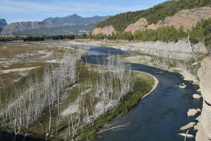 Imagen de la cola del embalse de Rialb a principios de octubre.