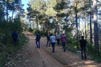 Imagen de la visita ayer a bosques de la Vansa i Tuixent.