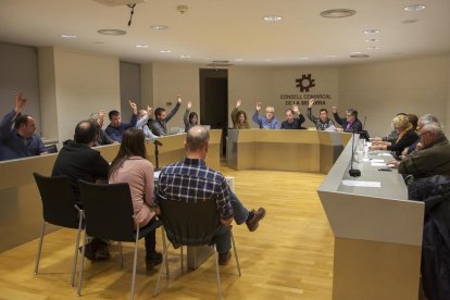 Imatge del ple del consell de la Segarra de dimecres.