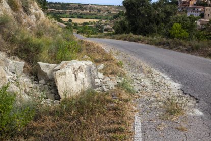 Imatge de la via forestal asfaltada entre Nalec i Vallbona.