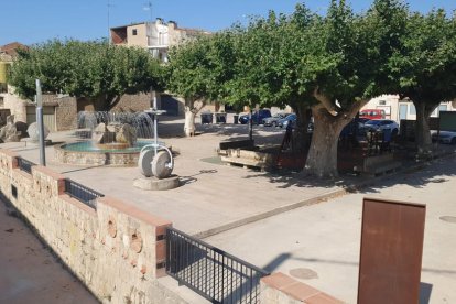  Posada en servei de la zona camí Trilla amb sanejament i aigua potable i la plaça dels Arbres afectada per les riuades.