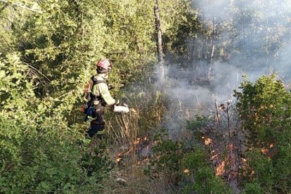 Crema controlada ahir de Bombers i GRAF a Artesa de Segre.