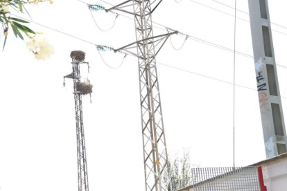 El joven ha muerto en la torre eléctrica situada detrás del edificio de Mercolleida, en Pardinyes.