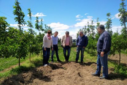 Ribes va visitar ahir una finca de l’Horta amb danys causats per senglars.