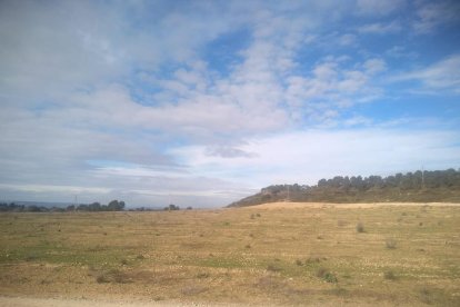 Els terrenys ja esplanats a Maials on es plantaran les oliveres per a experimentació aquest any.