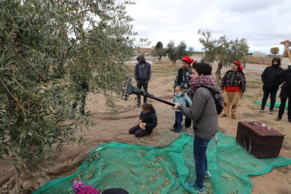 Els visitants van poder participar en la recol·lecció d’olives durant el dia.