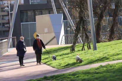 Una mujer paseando con dos perros por la plaza Blas Infante el pasado martes.