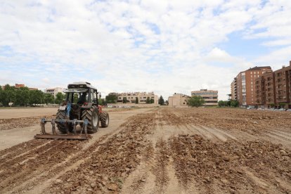 Inicien els treballs per plantar arbres al parc d'Alcalde Pujol