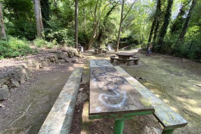 Imatge de les pintades que han aparegut al parc de la Font de Ferro de Sanaüja.