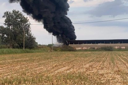 Imagen de la densa y negra columna de humo, que podía verse a kilómetros de distancia. 