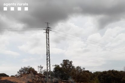 Un pájaro electrocutado causa un incendio de 1,5 hectáreas en Cubells