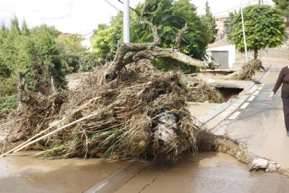 El torrente de la Femosa se desbordó por La Floresta.